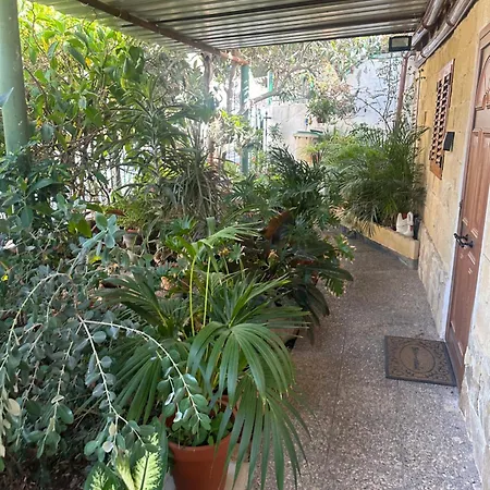 Casa Elisa Canarias-2
